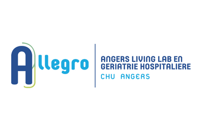 Logo Allegro