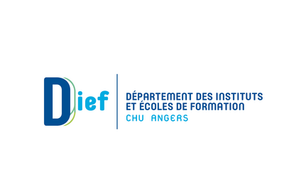 Logo DIEF