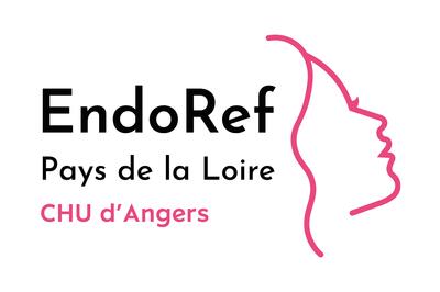 Logo Endoref CHU Angers