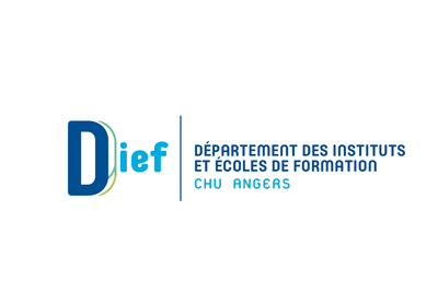Logo DIEF